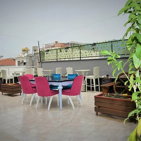 Melodi 3*